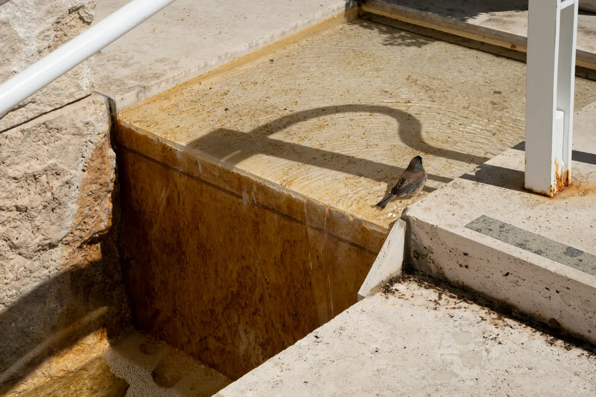 Foundation excavation and groundworks